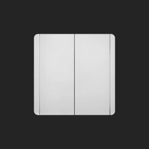 Switch with reverse 2 Gang 2 Way