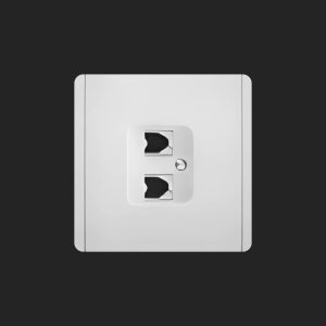 Network Socket2-Port RJ45